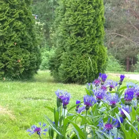 Himalayan Σαλέ Inkoo