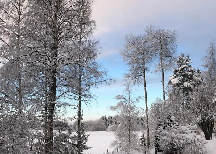 Alpstuga Himalayan *